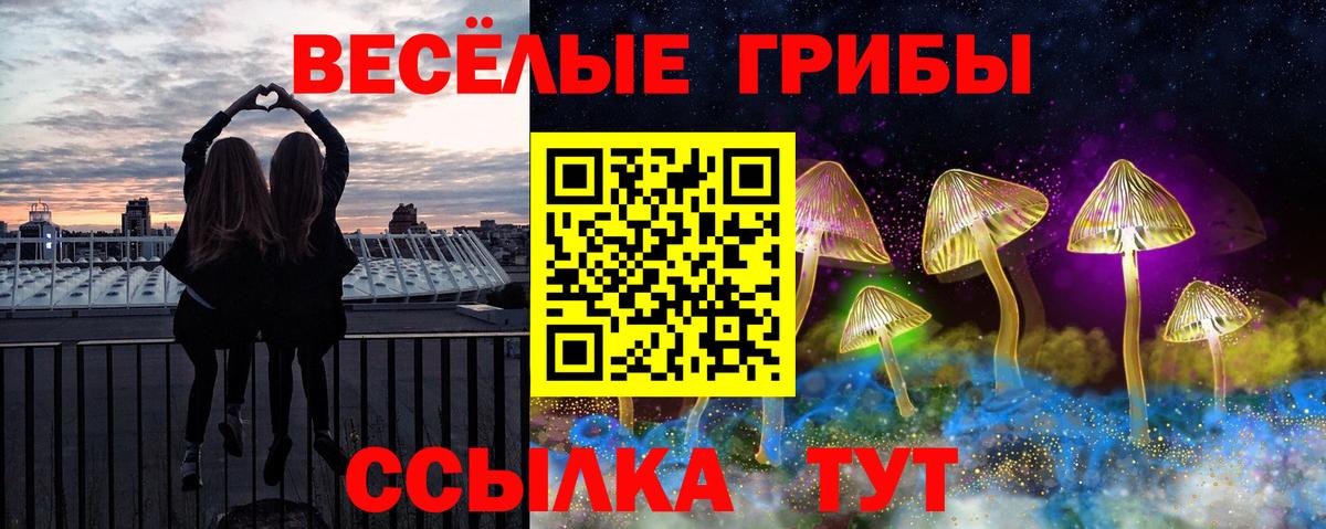 купить наркотики цена  Вход с VPN  Кумертау  Псилоцибиновые грибы Psilocybine cubensis 